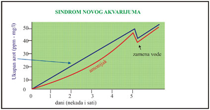 Sindrom novog akvarijuma