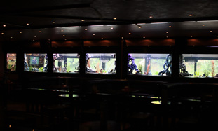 Kafe picerija “Hram” - Beograd